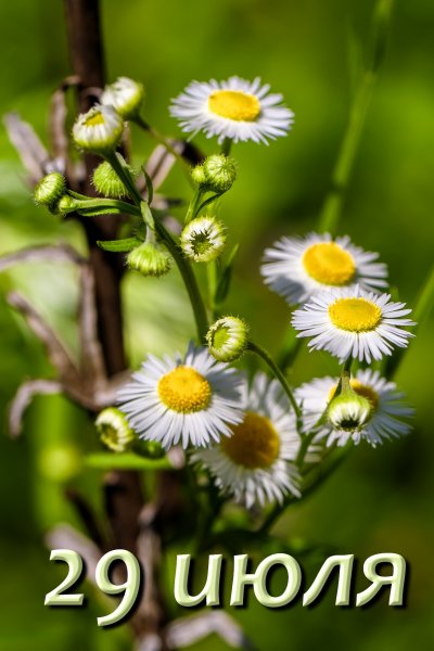 30 Июля календарь