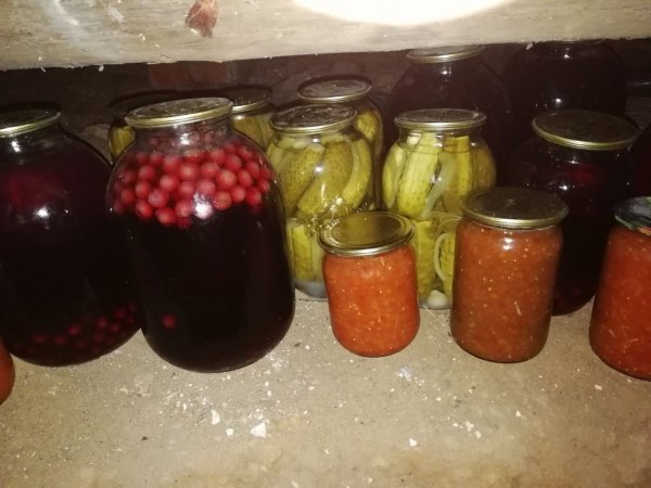 Емельянов день 31 июля