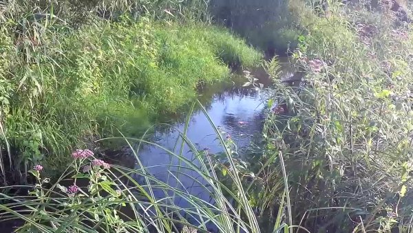 31 Июля православный праздник