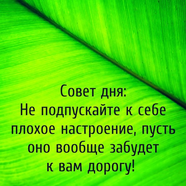 Открытки совет дня