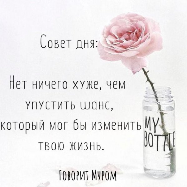 Совет дня Мудрые советы на каждый