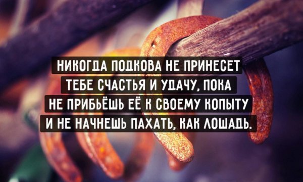 Совет дня цитаты Мудрые