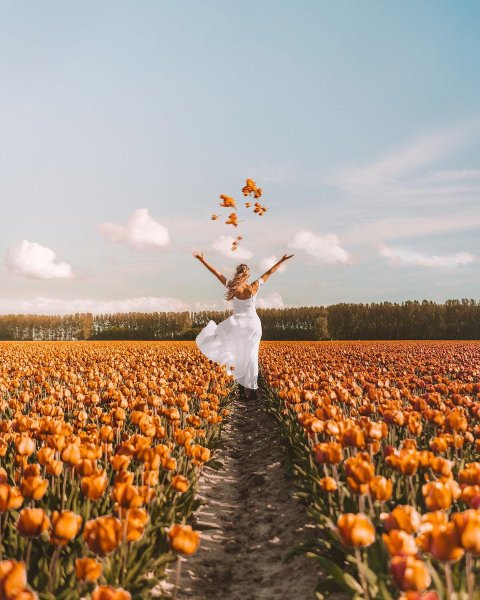 Ветер перемен статусы