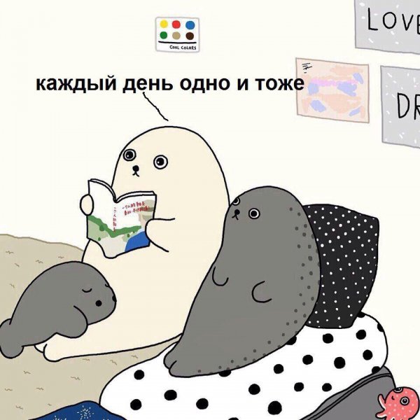 День тюлень