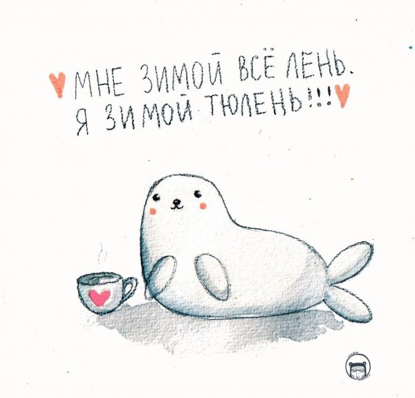 Прикольные фото тюленей