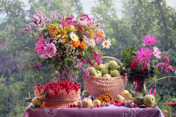 Августовские цветы