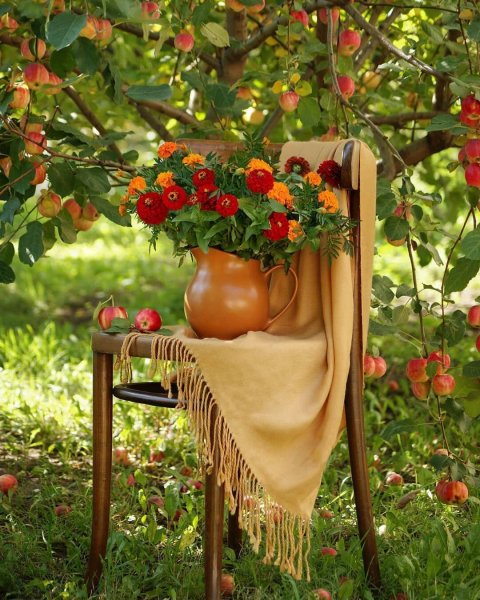 Осенние цветы в саду