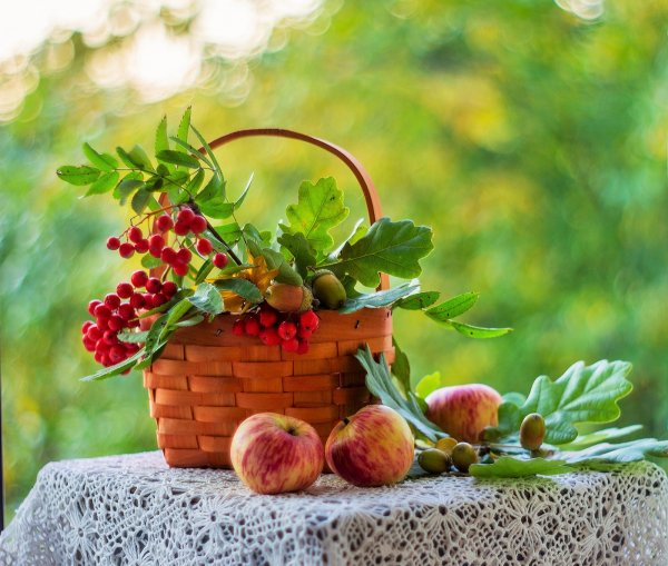 Август натюрморт