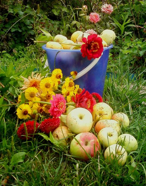 Август природа