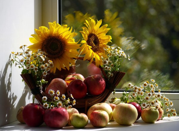 Осенний натюрморт с подсолнухами