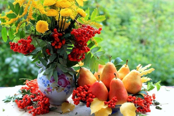 Август природа рябина