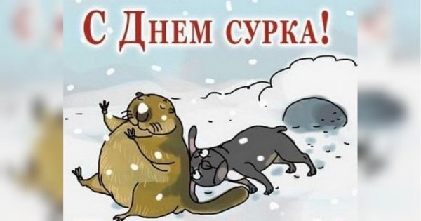 2 Февраля день сурка