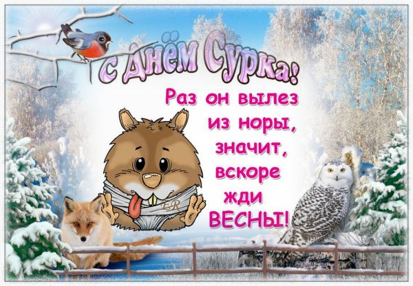 День сурка