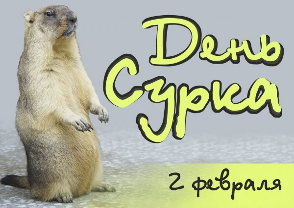 День сурка