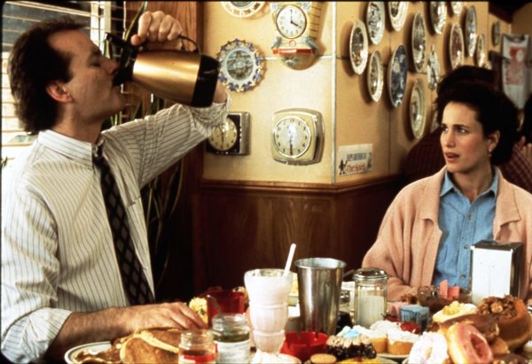 2 Февраля день сурка