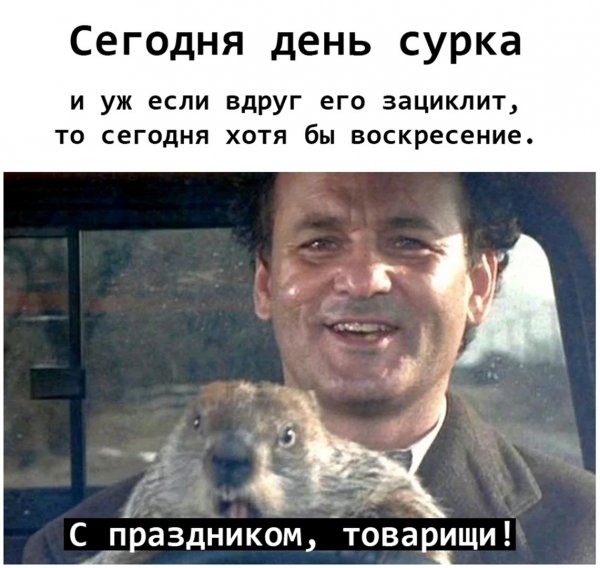 Сегодня день сурка