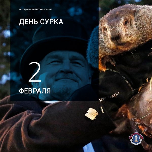 Сурок Фил из Панксатони