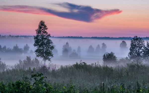 Церковный календарь 2020 18 июля