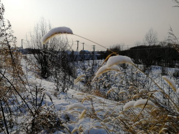 Зима солнце