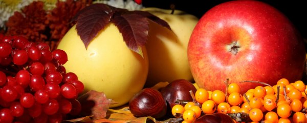 Яблоки янтарные осень сад