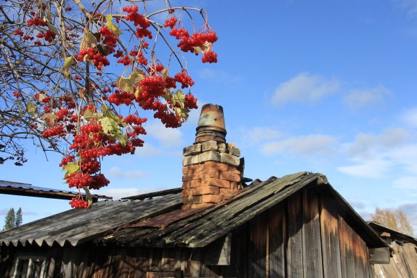 Дом на калиной осень