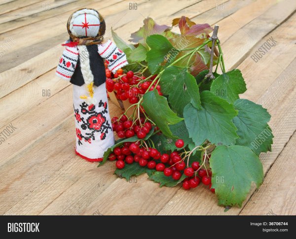 Открытка народный Калинник