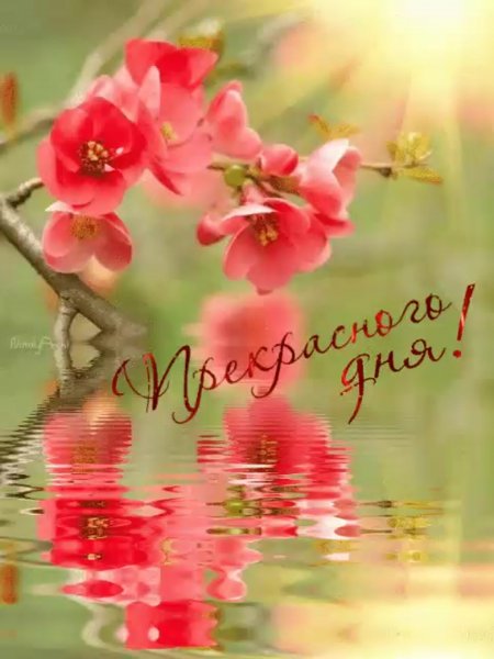 Доброго дня и прекрасного настроения