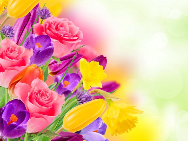 Поздравления с днём рождения Дочки для мамы