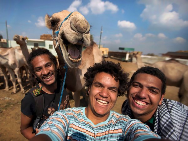 Прикольные фото