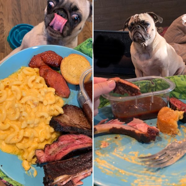 Самый что ни наесть прикол дня