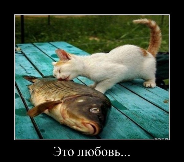 Позитивные демотиваторы для поднятия настроения