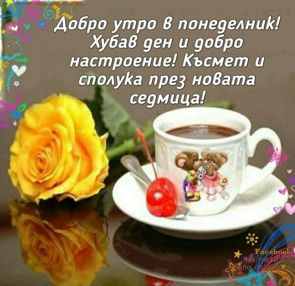 Удачного дня и отличного настроения