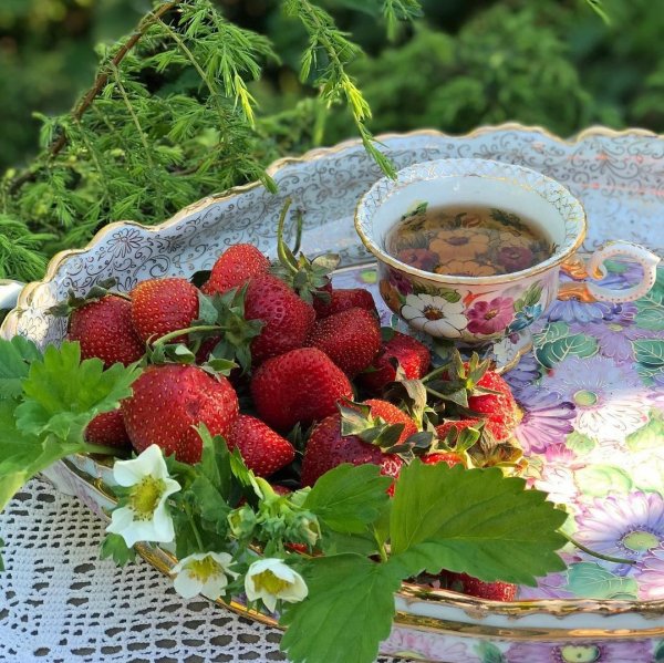 Лето август утро кофе