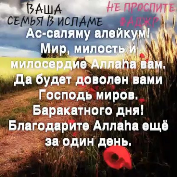 С благословенной пятницей баракатного дня