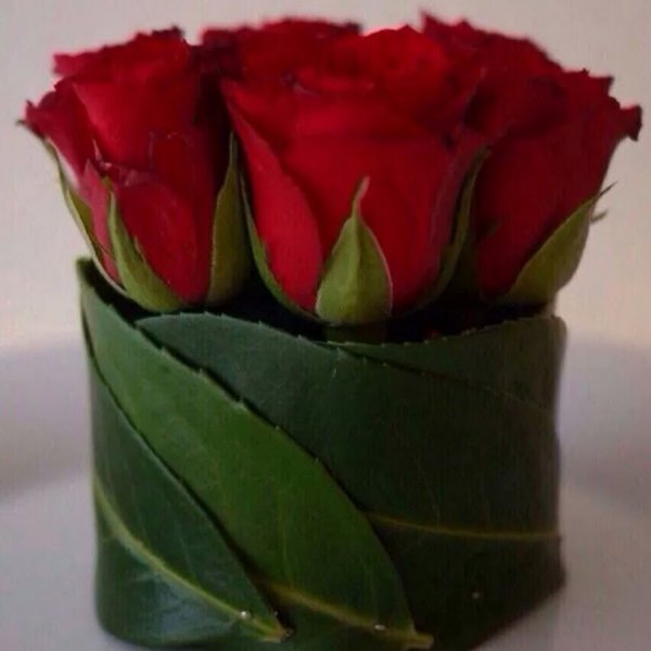 Открытки с добрым утром брату от сестры