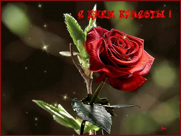 Пожелания в день красоты