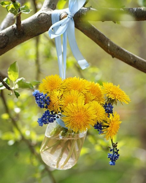 Доброго солнечного дня