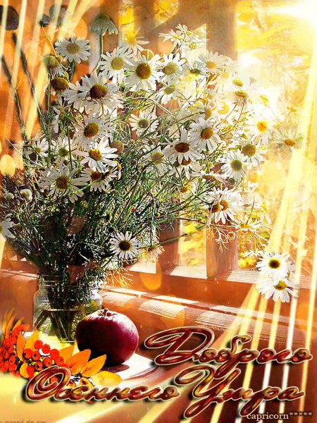 Пожелания доброго осеннего утра