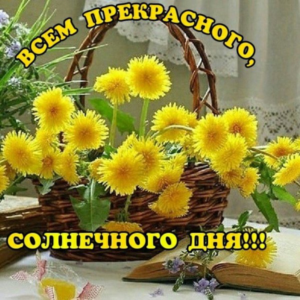 Душевного тепла и солнечного настроения