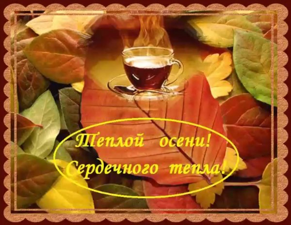 Тёплых добрых дней осени