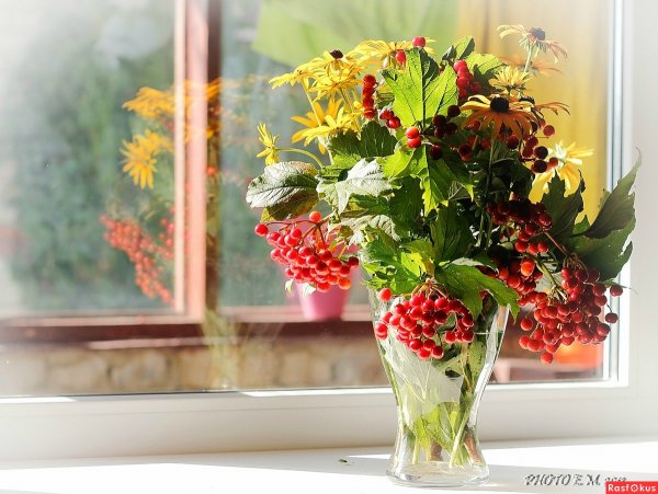 Пожелания с добрым осенним утром