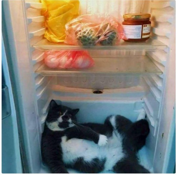 Прикольный холодильник