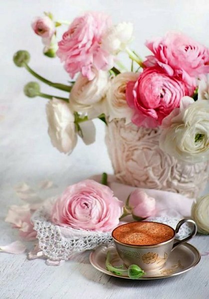 Нежные цветы утро