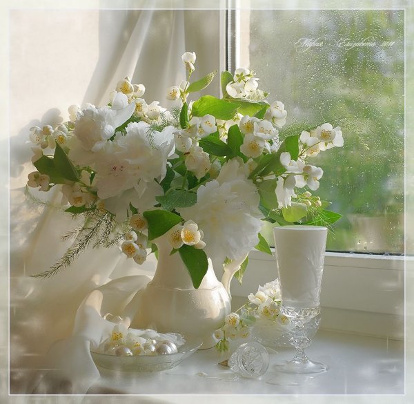 Светлого прекрасного дня