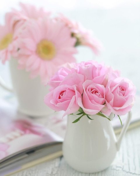 Нежно розовое утро