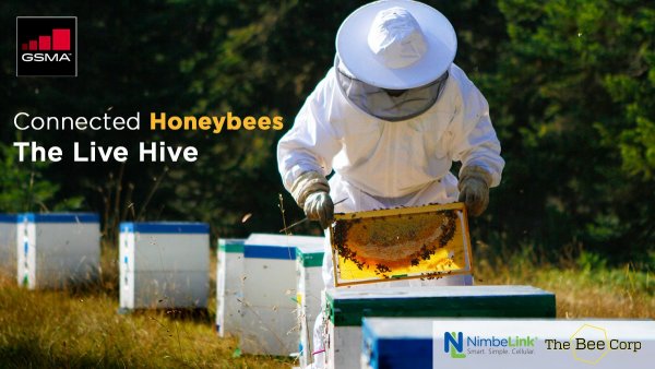 Всемирный день пчеловода