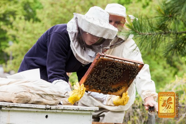 Праздник пчеловода