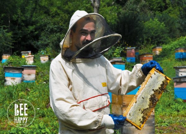 Пчеловодство в Узбекистане