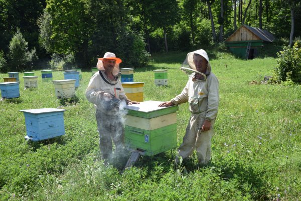 День пчеловода