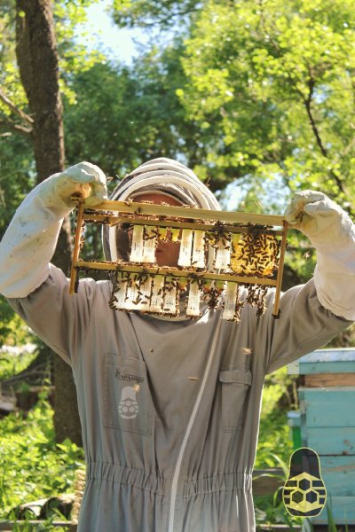 Пасека "Уралец"